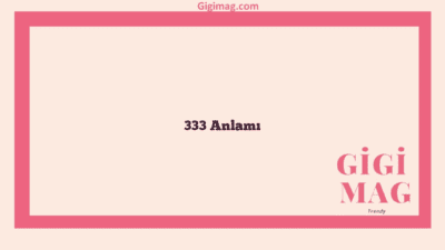 333 Anlamı