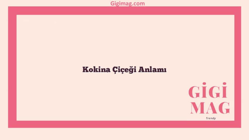 Kokina Çiçeği Anlamı