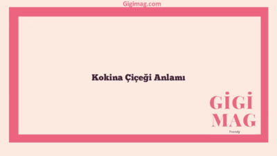 Kokina Çiçeği Anlamı