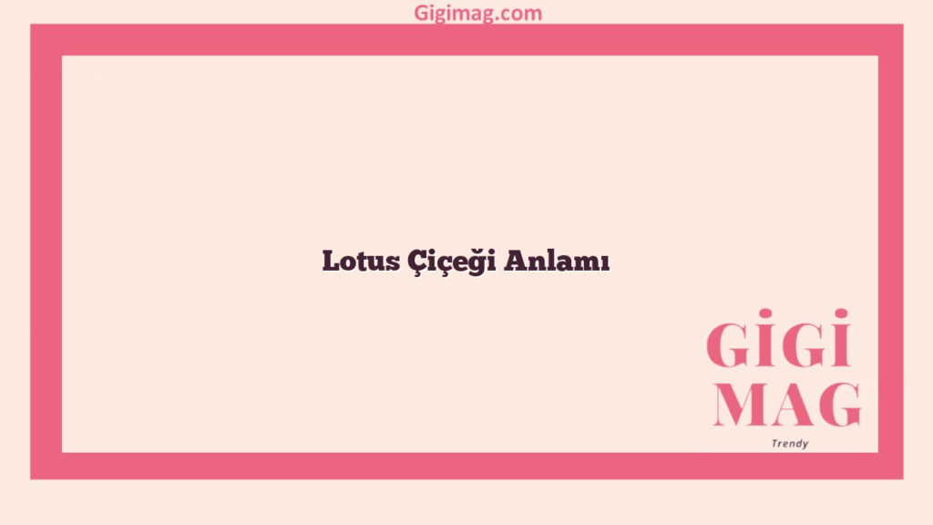 Lotus Çiçeği Anlamı