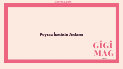 Poyraz İsminin Anlamı