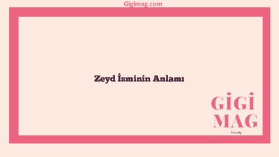 Zeyd İsminin Anlamı