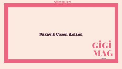Şakayık Çiçeği Anlamı
