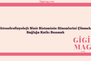 Elektronörofizyoloji: Sinir Sisteminin Gizemlerini Çözmek ve Sağlığa Katkı Sunmak